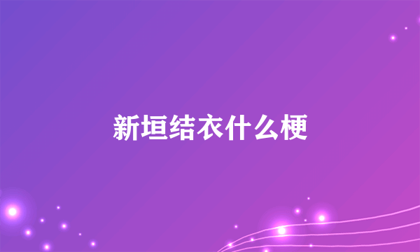 新垣结衣什么梗