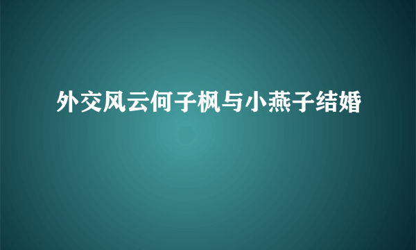 外交风云何子枫与小燕子结婚