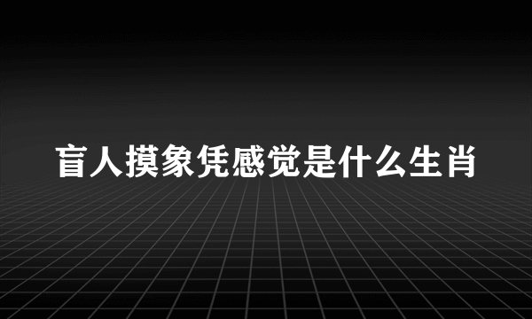 盲人摸象凭感觉是什么生肖