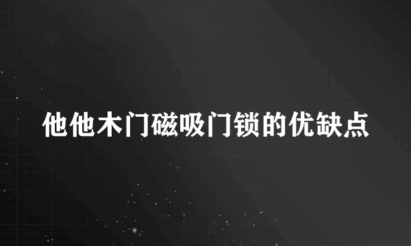 他他木门磁吸门锁的优缺点