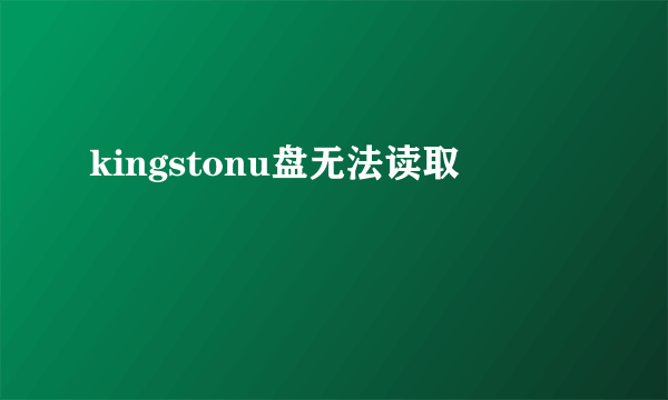 kingstonu盘无法读取