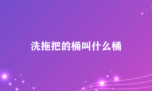 洗拖把的桶叫什么桶