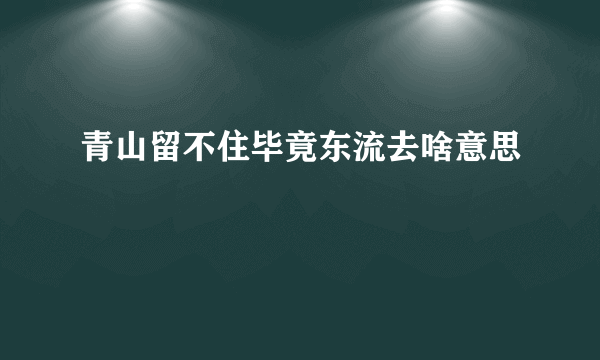 青山留不住毕竟东流去啥意思