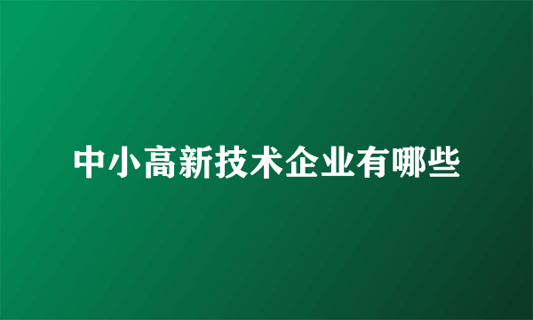 中小高新技术企业有哪些