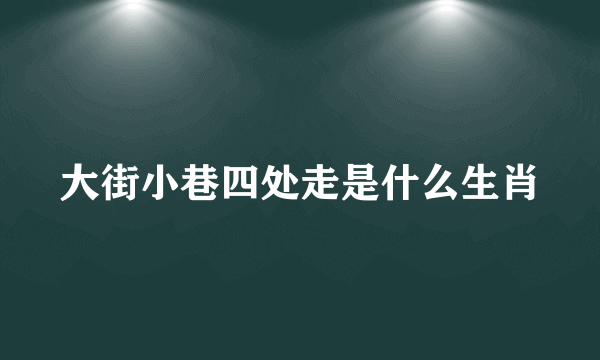 大街小巷四处走是什么生肖