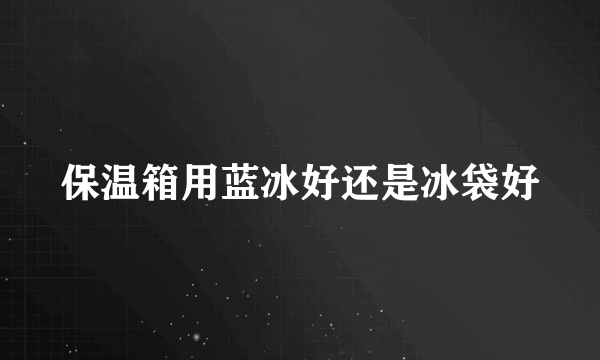 保温箱用蓝冰好还是冰袋好