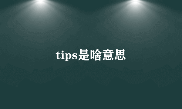 tips是啥意思