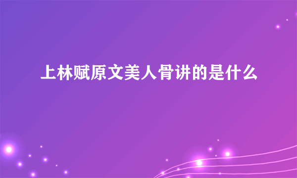 上林赋原文美人骨讲的是什么