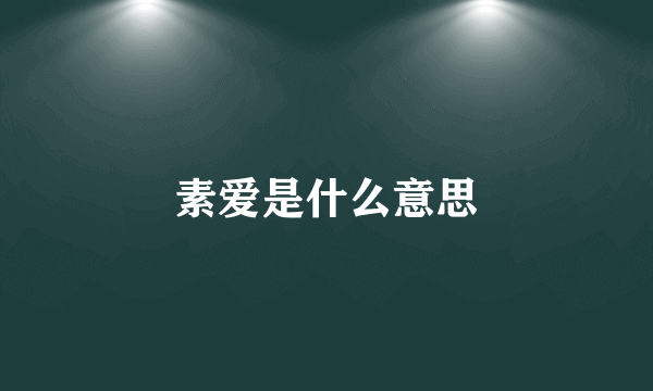 素爱是什么意思