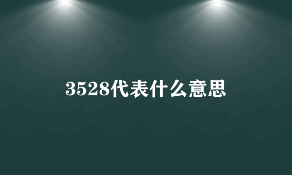 3528代表什么意思