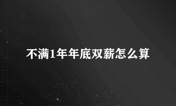 不满1年年底双薪怎么算