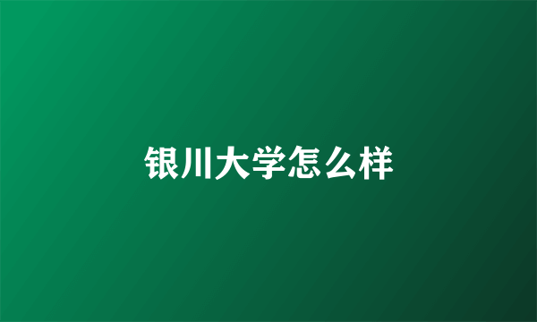 银川大学怎么样