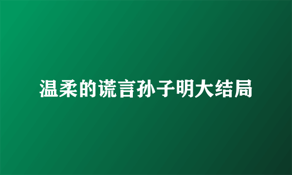 温柔的谎言孙子明大结局