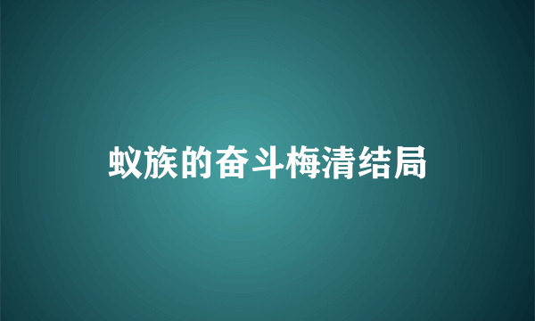 蚁族的奋斗梅清结局