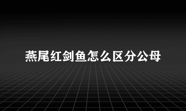 燕尾红剑鱼怎么区分公母