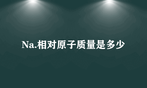 Na.相对原子质量是多少