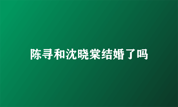 陈寻和沈晓棠结婚了吗