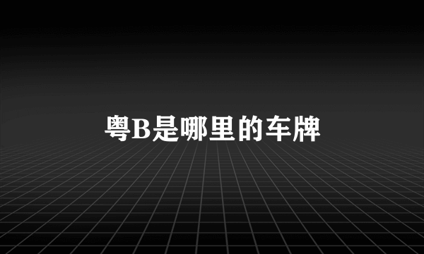 粤B是哪里的车牌