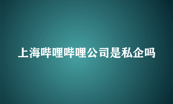 上海哔哩哔哩公司是私企吗