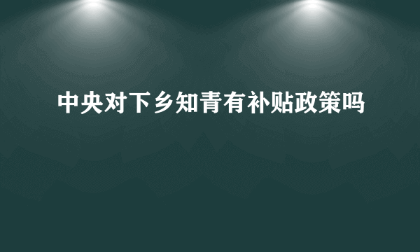 中央对下乡知青有补贴政策吗