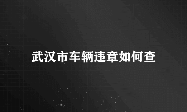 武汉市车辆违章如何查