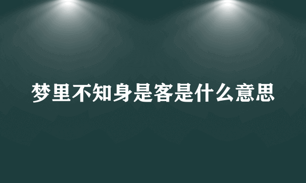 梦里不知身是客是什么意思