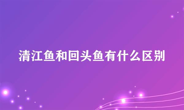 清江鱼和回头鱼有什么区别