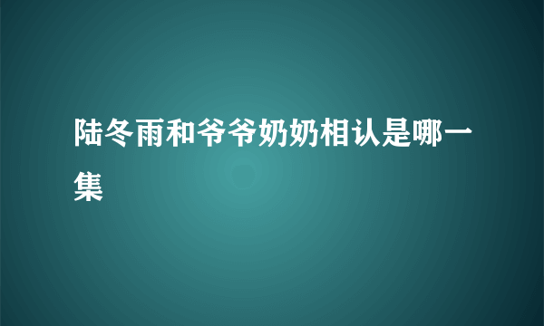 陆冬雨和爷爷奶奶相认是哪一集