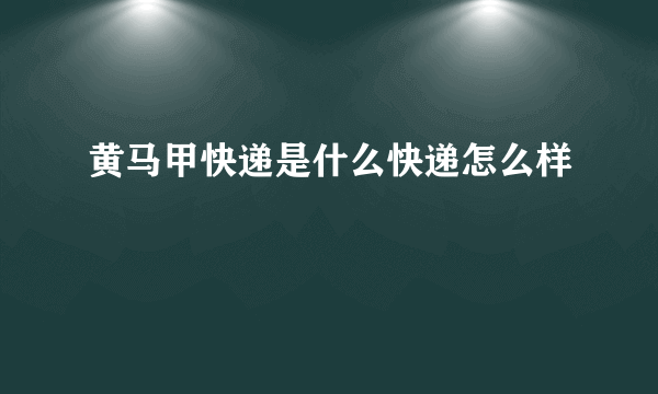 黄马甲快递是什么快递怎么样