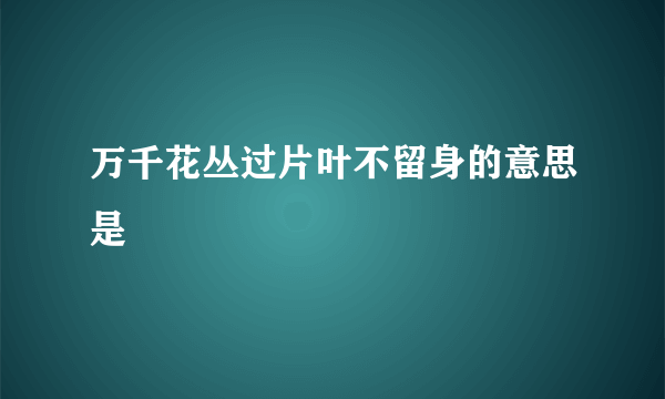 万千花丛过片叶不留身的意思是