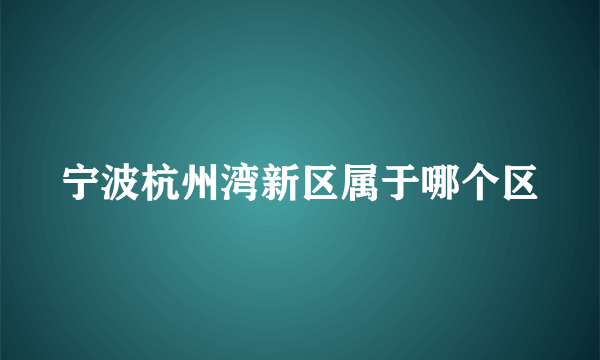 宁波杭州湾新区属于哪个区