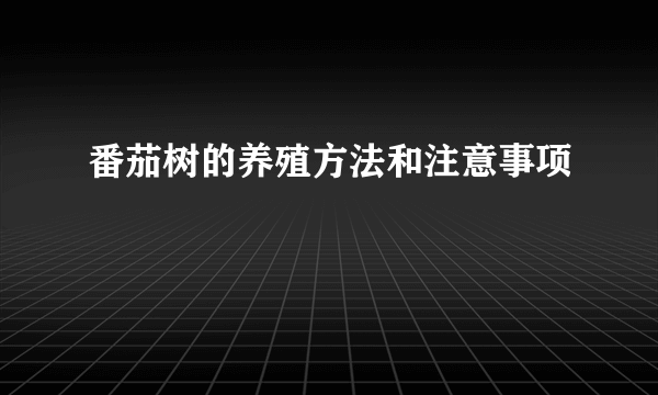 番茄树的养殖方法和注意事项