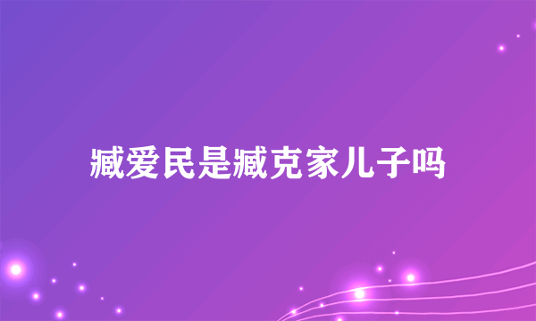 臧爱民是臧克家儿子吗