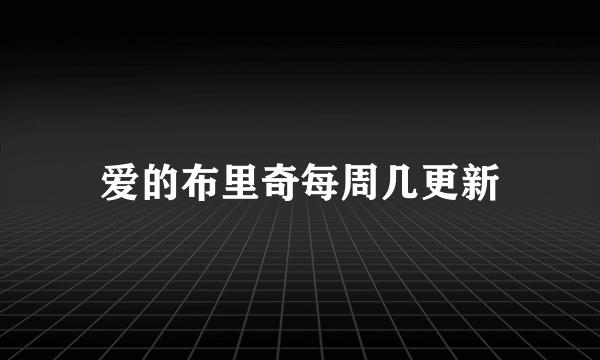 爱的布里奇每周几更新