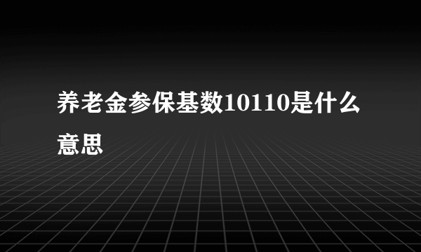 养老金参保基数10110是什么意思