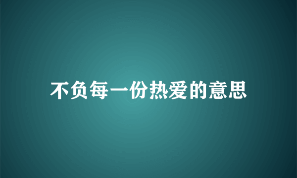 不负每一份热爱的意思