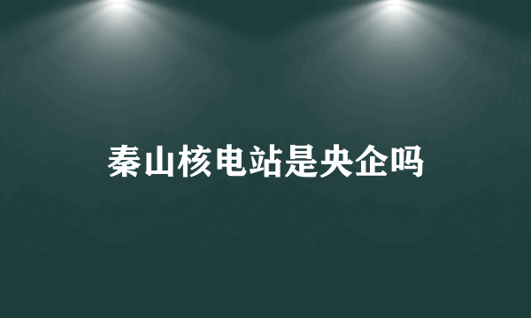 秦山核电站是央企吗