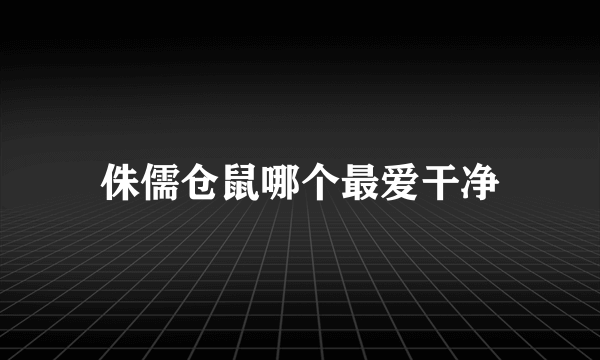 侏儒仓鼠哪个最爱干净