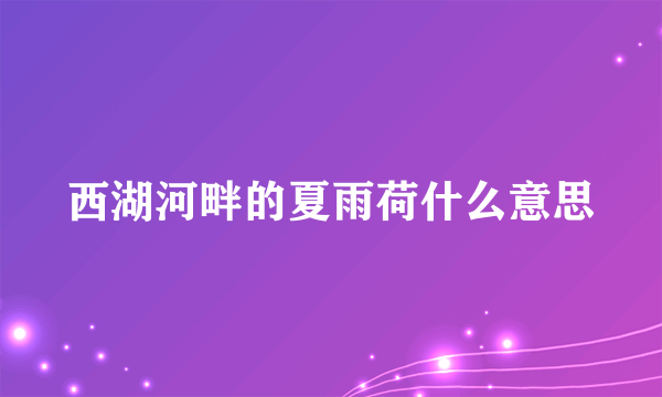 西湖河畔的夏雨荷什么意思