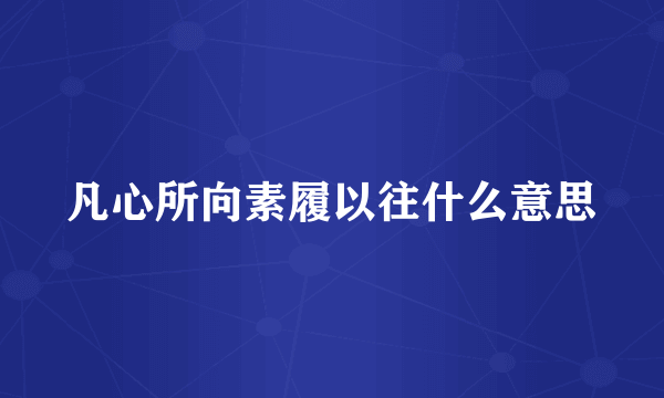 凡心所向素履以往什么意思