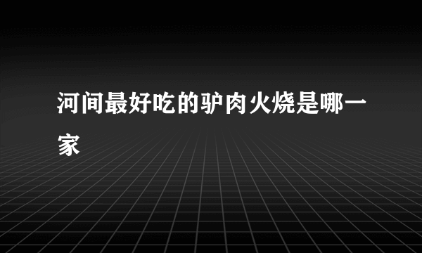 河间最好吃的驴肉火烧是哪一家