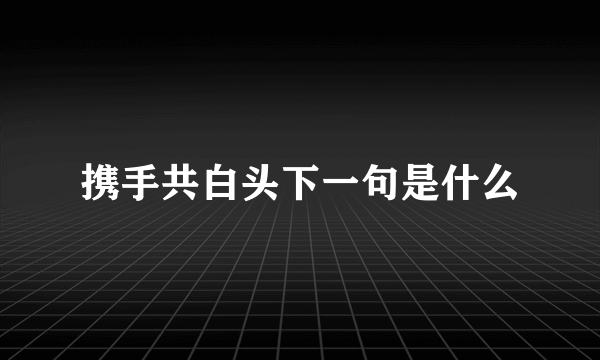 携手共白头下一句是什么