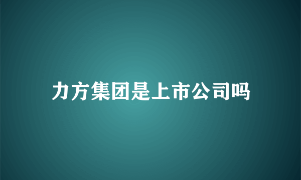 力方集团是上市公司吗