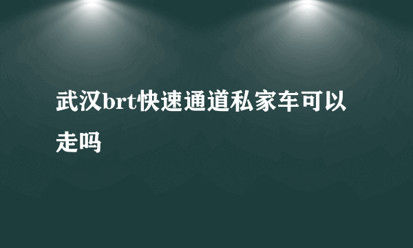 武汉brt快速通道私家车可以走吗