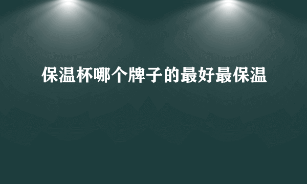 保温杯哪个牌子的最好最保温