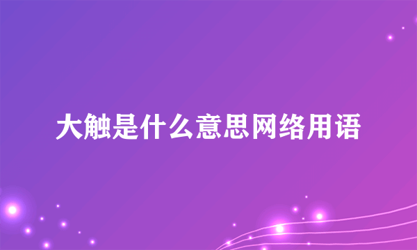 大触是什么意思网络用语