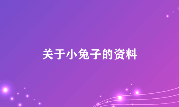 关于小兔子的资料