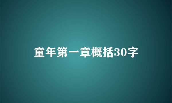 童年第一章概括30字