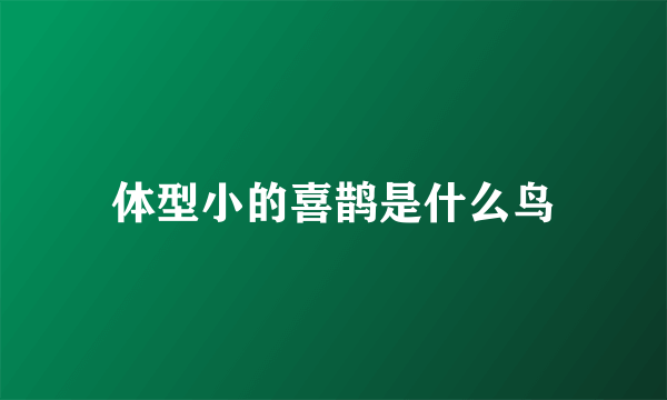 体型小的喜鹊是什么鸟