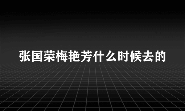 张国荣梅艳芳什么时候去的